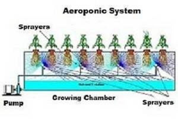 aeroponicsystem