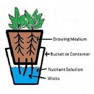 Hydroponic Wick System 2 bucketwicksystem