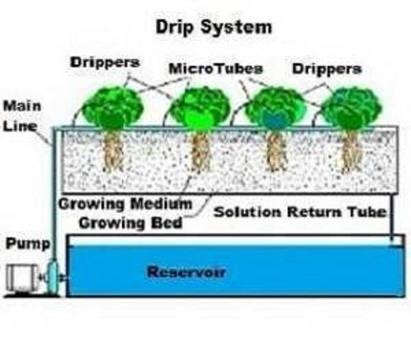 dripsystem