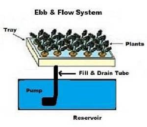 ebbandflowsystem