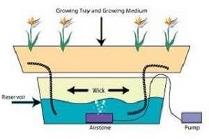 Hydroponic Wick System