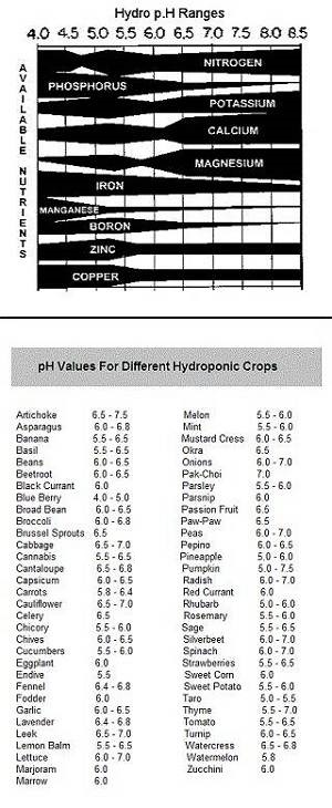 pH Chart pH chart