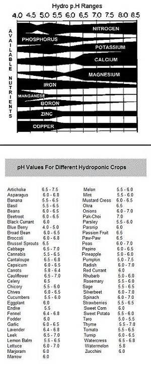 pH chart