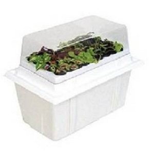 Plant Cuttings 2 plantcloningmachine